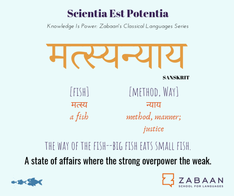 मत्स्न्याय