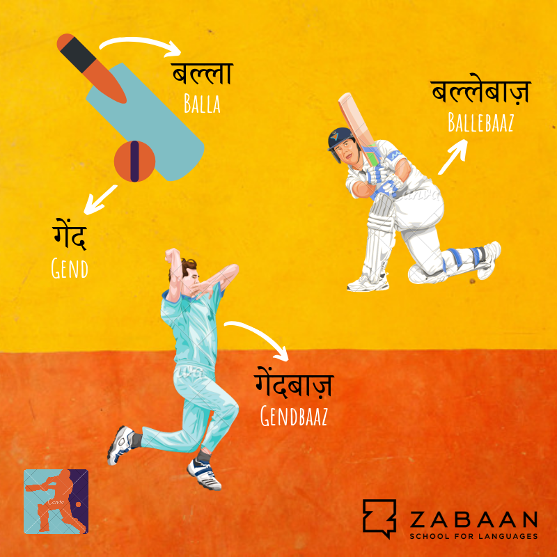 Zabaan infographic explaining cricket vocabulary