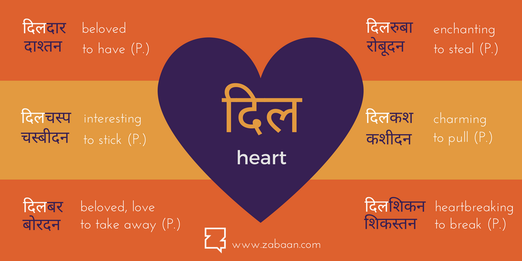 Zabaan language infographic: दिल – Heart