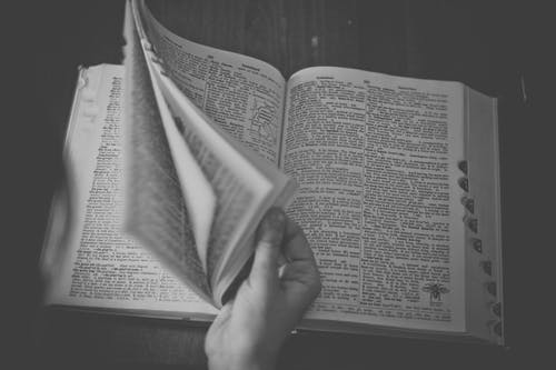 Lockdown Diary Day 17: A New Lexicon